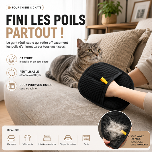 Gant Attrape-Poils Réutilisable – Chiens & Chats